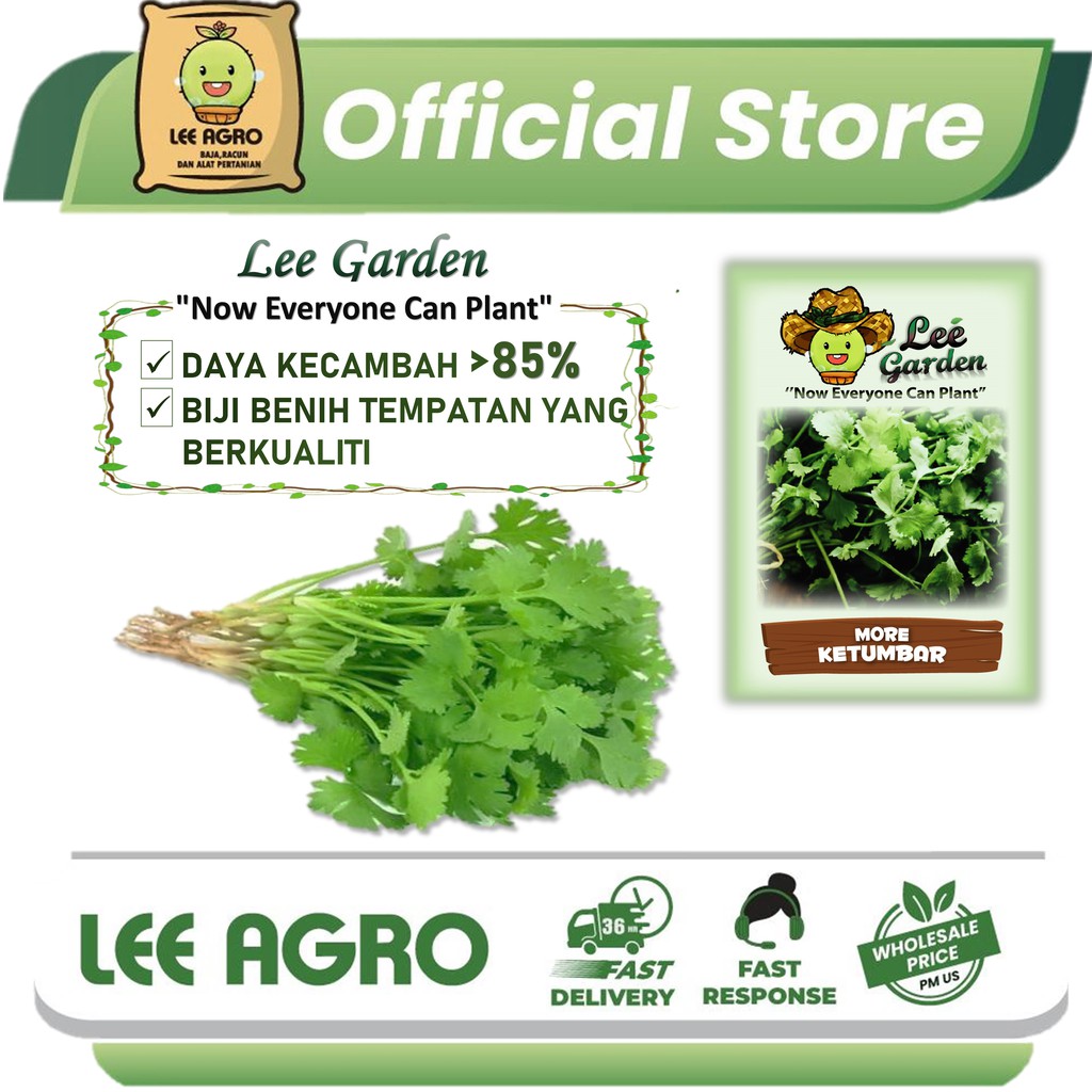 LEE GARDEN BIJI BENIH MORE KETUMBAR LEE GARDEN MORE CORIANDER SEED ...