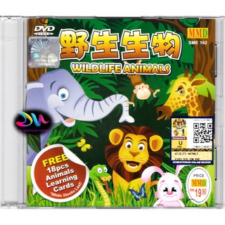 education dvd - DVDs, Blueray & CDs Prices and Promotions - Games