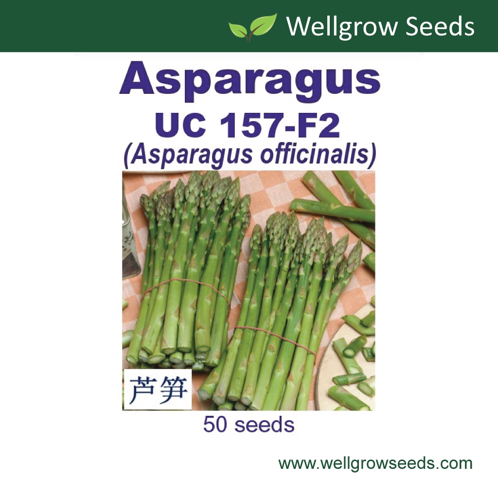 Asparagus UC 157F2 (50sds) 芦笋 Vegetable Seeds Wellgrow Seeds Shopee
