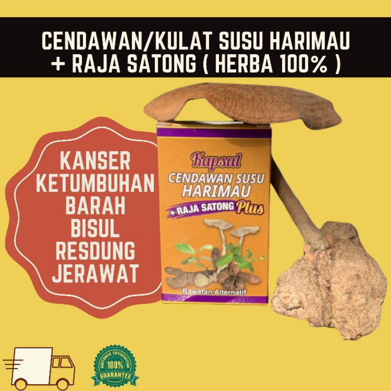 Cendawan Susu Harimau Plus Raja Satong Original Shopee Malaysia 