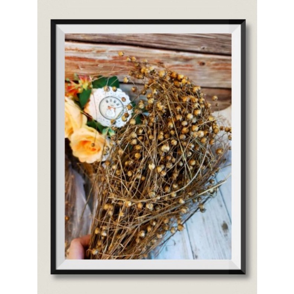 Hamster snack natural snack flaxseed spike / oat spike/