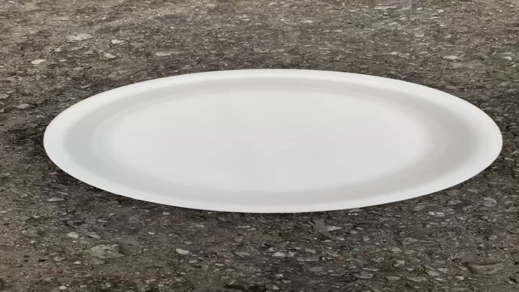 Polystyrene 9" Foam Plate [ 100pcs± ] Polistrin Piring  -  Polisterin Pinggan  -  TAGE T304 Party Pl