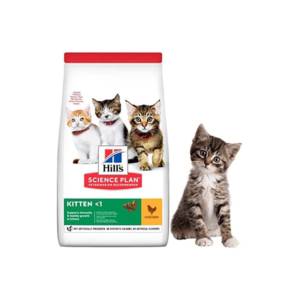 Hill s Science Diet Kitten Chicken Recipe 4kg LOWEST PRICE