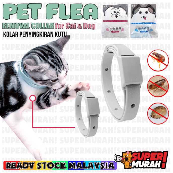 [Kolar Ubat Kutu Kucing Rantai Kucing] Pet Cat Anti Flea Tick Mite ...