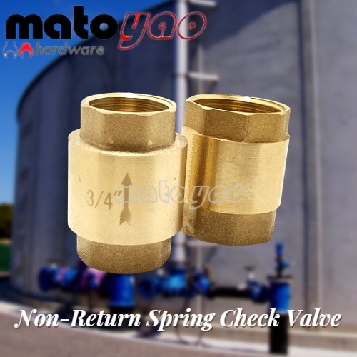 Heavy Brass Vertical Check Valve Spring 1 Way Check Valve Non-Return ...