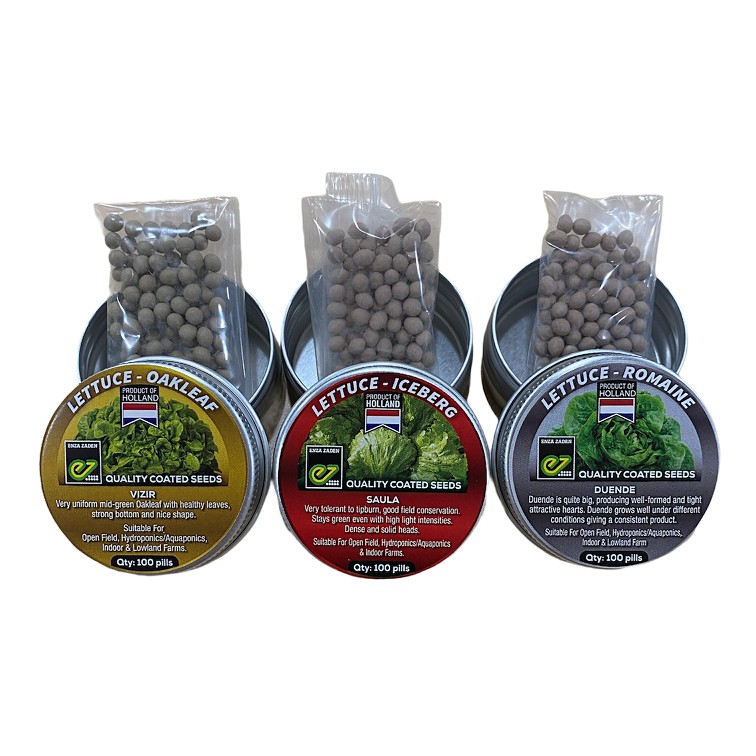 Enza Zaden Vizir Duende Saula Coated Lettuce Pill Seeds 100 Seedcan Trio Pack 8429