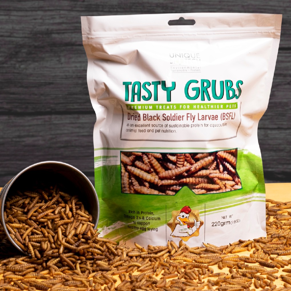 bsfl-black-soldier-fly-larvae-tasty-grubs-insect-protein-cat-food