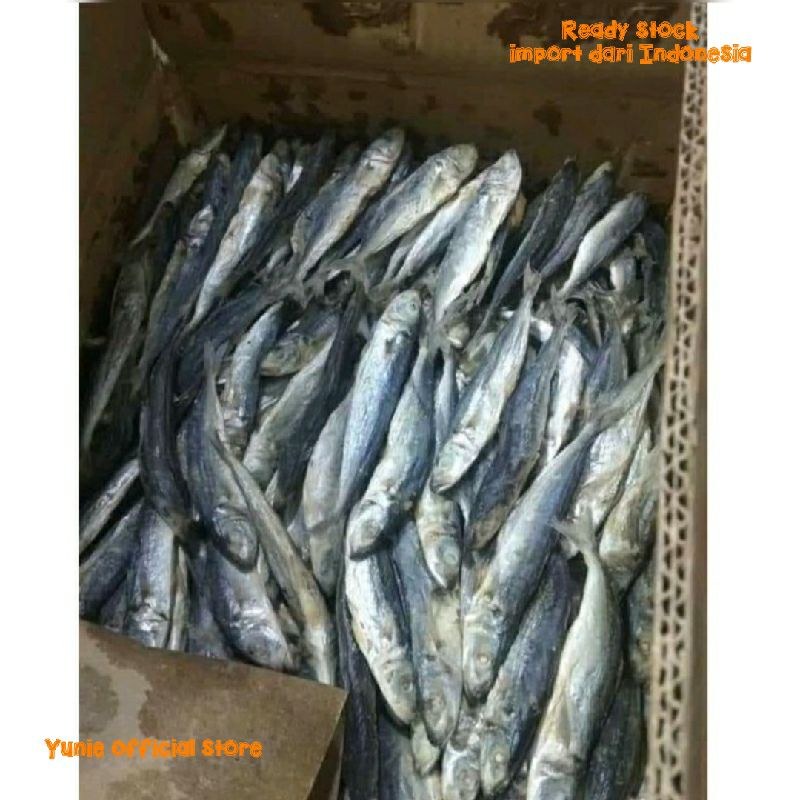 [ready Stock] Ikan Masin Sardin Rebus Ogak Masin Import Dari Indonesia