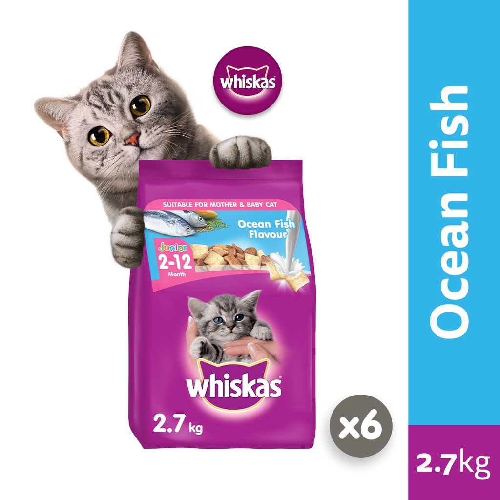 Whiskas creamy soup clearance fish