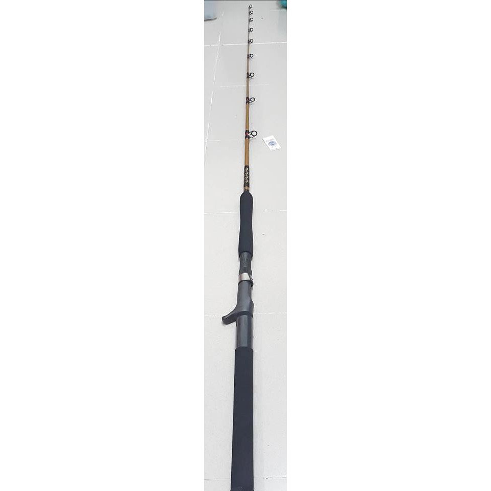 ugly stik bigwater casting rod 12' BWSUAR80130C56 Stand Up Conventional piece stainless steel guides Profishiency Spincast Combo | wheelsize-29 Size:ASIS70MXF / 7FT / Medium / Extra Fast