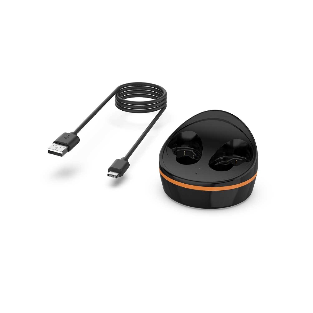 Galaxy earbuds online charger