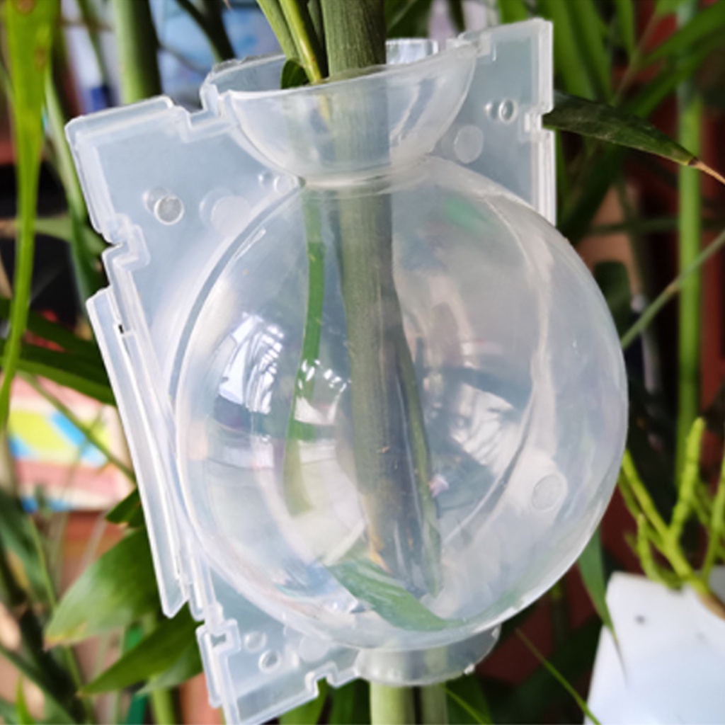 Growing Box Plants Organizer Breeding Ball Botany Root Controller ...