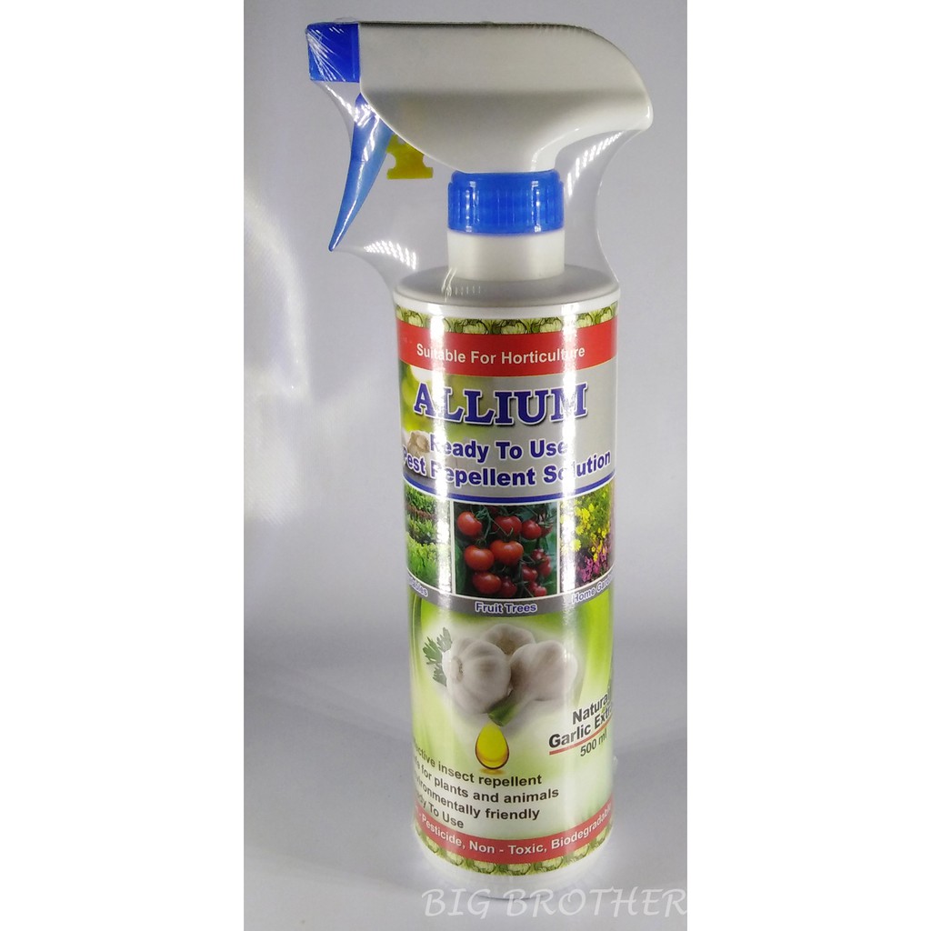 Pest Control Non Poisonous 100 Original Allium Repel Cicak Lizard