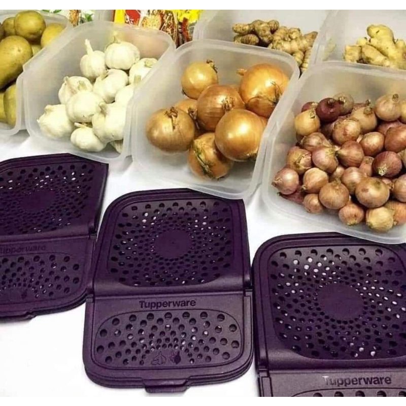 GARLIC KEEPER TUPPERWARE 3L/BEKAS BAWANG/BEKAS KENTANG/BEKAS BARANG ...