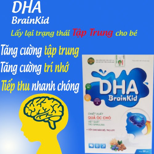 Dha BRAIN KID Children'S BRAIN Tonic Nuggets Blueberry Walnut Extract