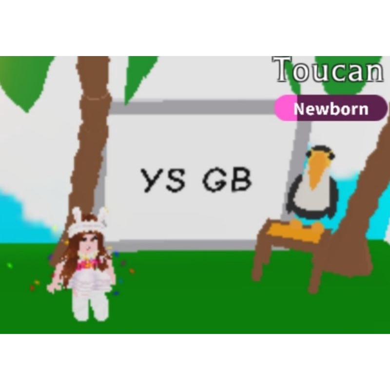 TOUCAN Pet Adopt Me Roblox (FR/ NFR) | Shopee Malaysia