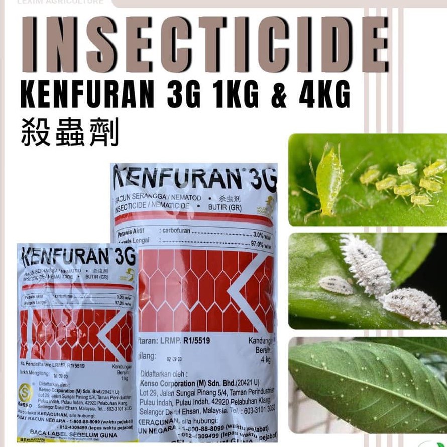 BG-Kenfuran 3G 1kg (Insecticide/Nematicide) | Shopee Malaysia