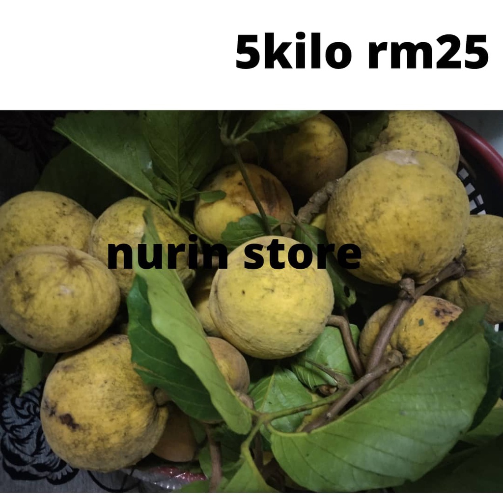 Buah Setol Buah Setoi Buah Stol 5kilo Buah Stoi Borong Shopee Malaysia