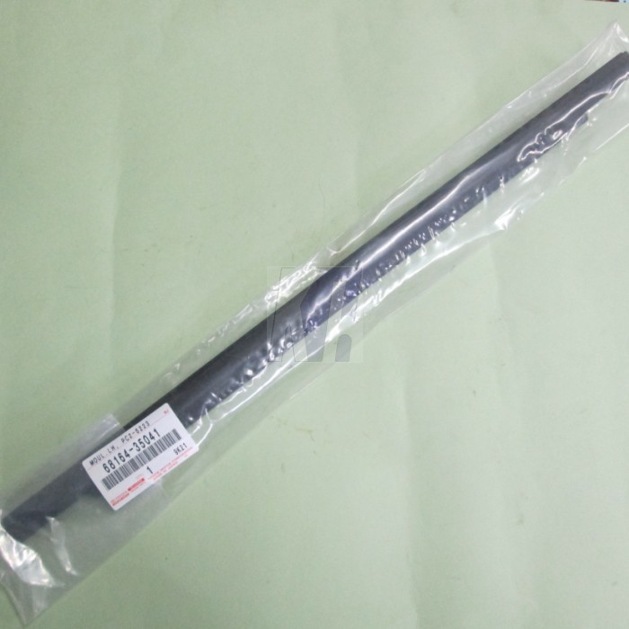 Toyota FJ Cruiser Outer Weather Strips – Rear Door Set Of 2, OEM 2007-2014