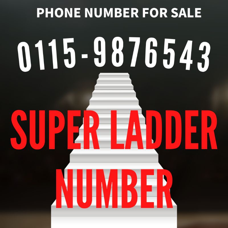 VIP LADDER NUMBER/SPECIAL VIP NUMBER Shopee Malaysia