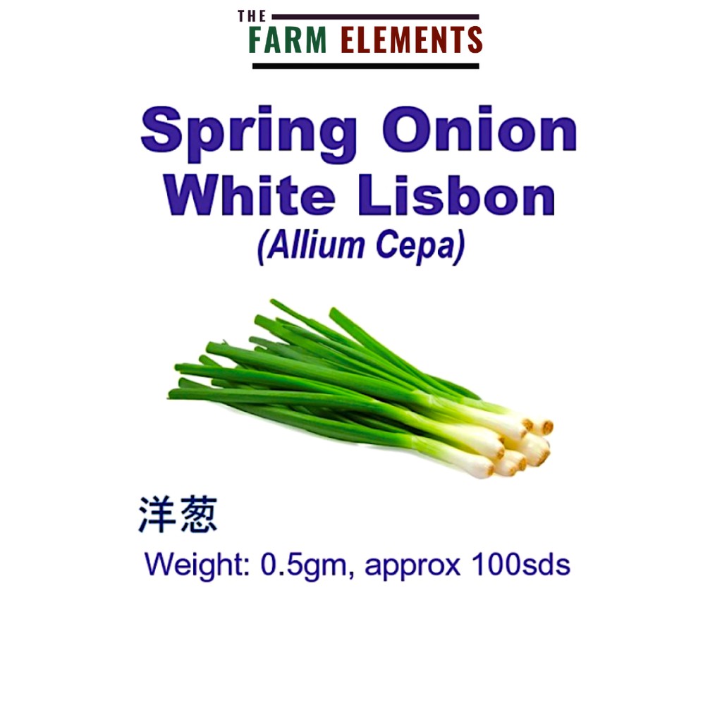 Wellgrow Spring Onion White Lisbon (0.5gm, approx 100sds) WHT- 白洋葱 ...