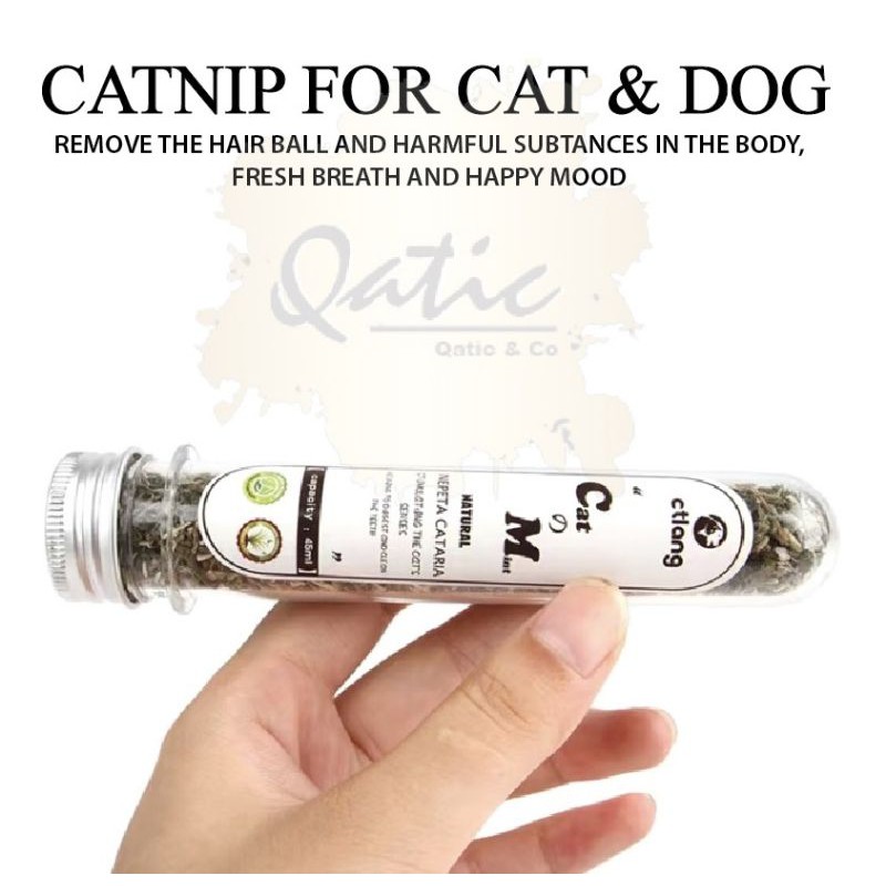 🤩Ready Stock🤩 Premium 45ml Catnip fine cut Cat mint Cat/Kitten