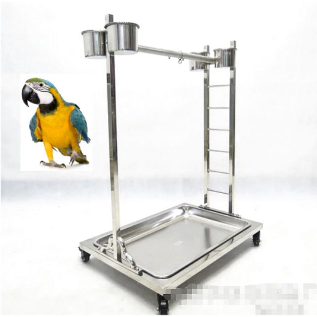 Stand parrot sale