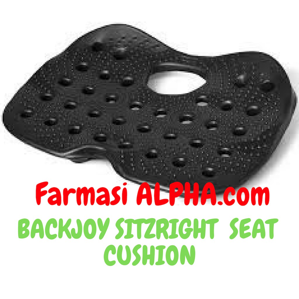 BackJoy SitzRight Seat Cushion