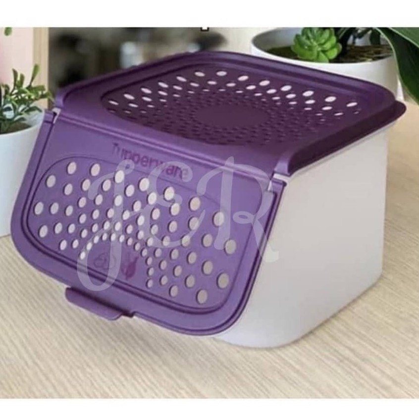  Tupperware Garlic-N-All Keeper Organizer for Onion