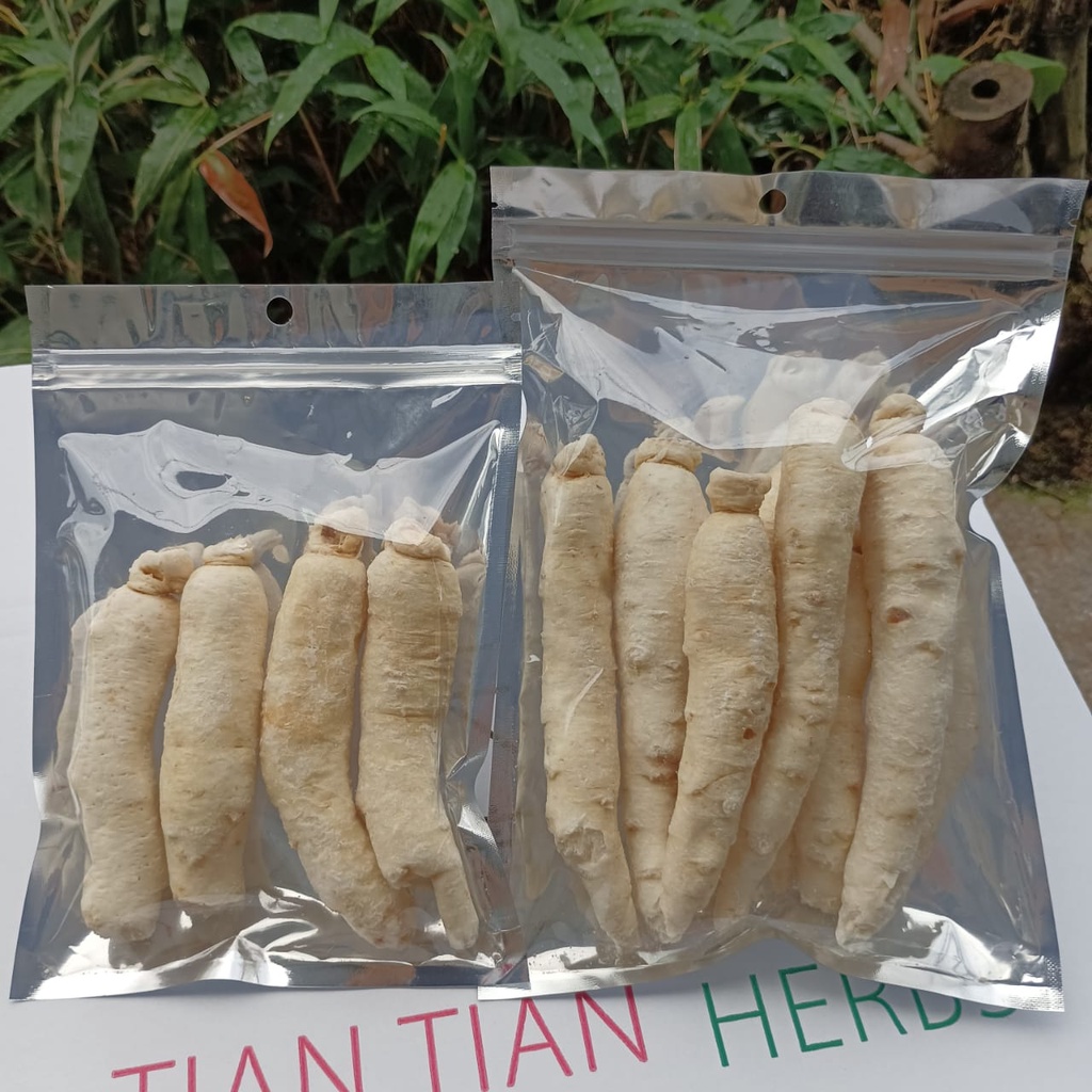 White Ginseng 白泡参 150g/ 300g 小孩大人热咳 病后身体虚弱 补脾益肺 肺虚喘咳 增强体质 Bai Pao Shen