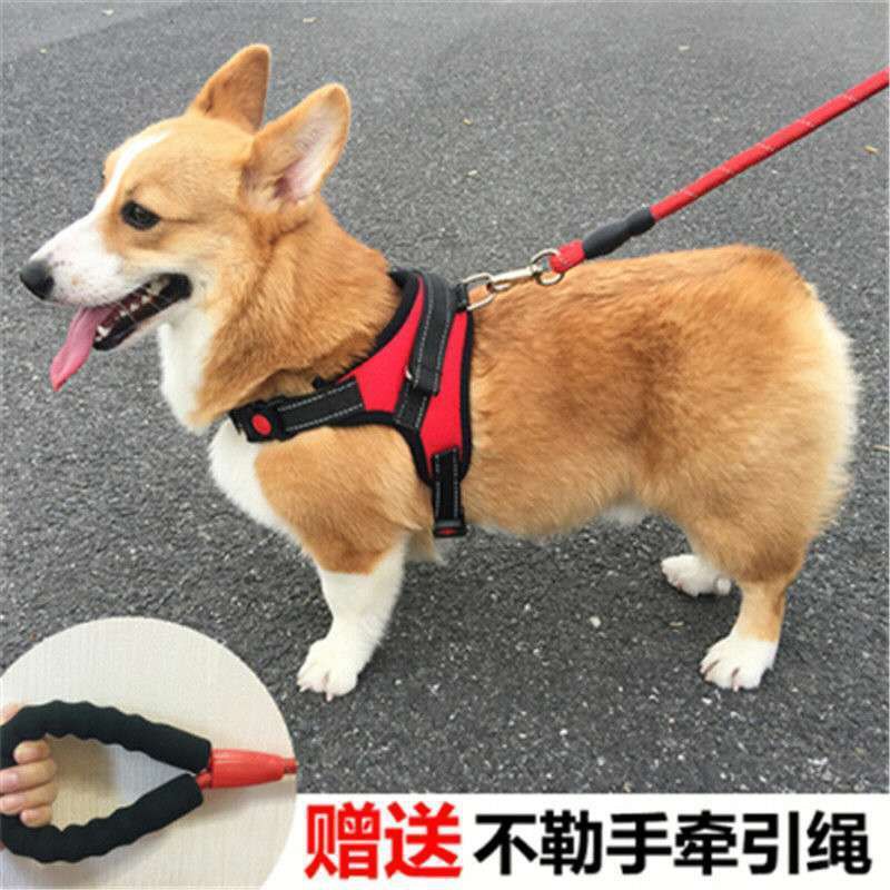 Pet products traction rope Dog Rope Small, Medium, and Large Dog Towing ...