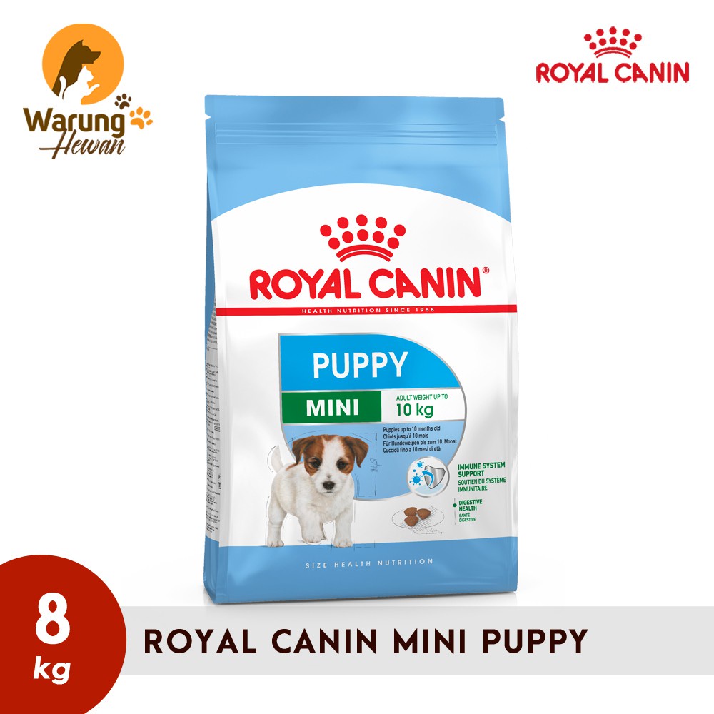 Royal canin junior small dog under hot sale 10 kg