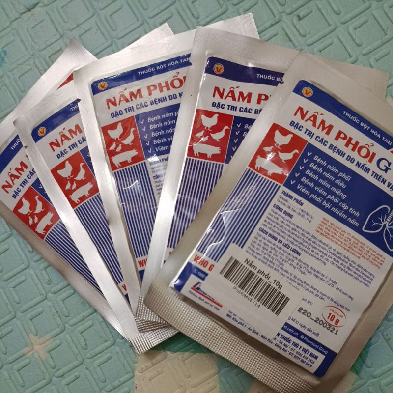 5 Packs Of Lung Mushrooms 10g. (Special Treatment Of Fungal Diseases On