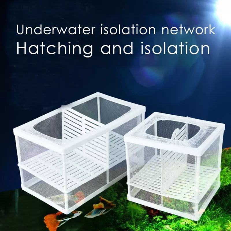 🔥Ready stock🔥Aquarium Fish Breeding Breeder Box Baby Fish Hatchery ...