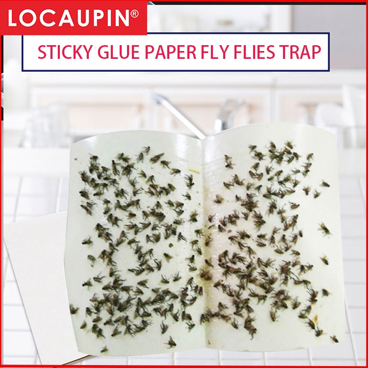 Locaupin Sticky Glue Paper Fly Flies Trap Catcher Bugs Insects Catcher ...