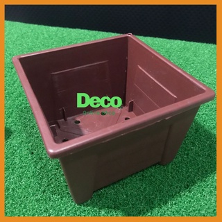 Petak Pasu Bunga Coklat Kecil Murah Segi Empat Pasu Plastik Brown Square  Small Flower Pot W13xL13xH9cm 1pc