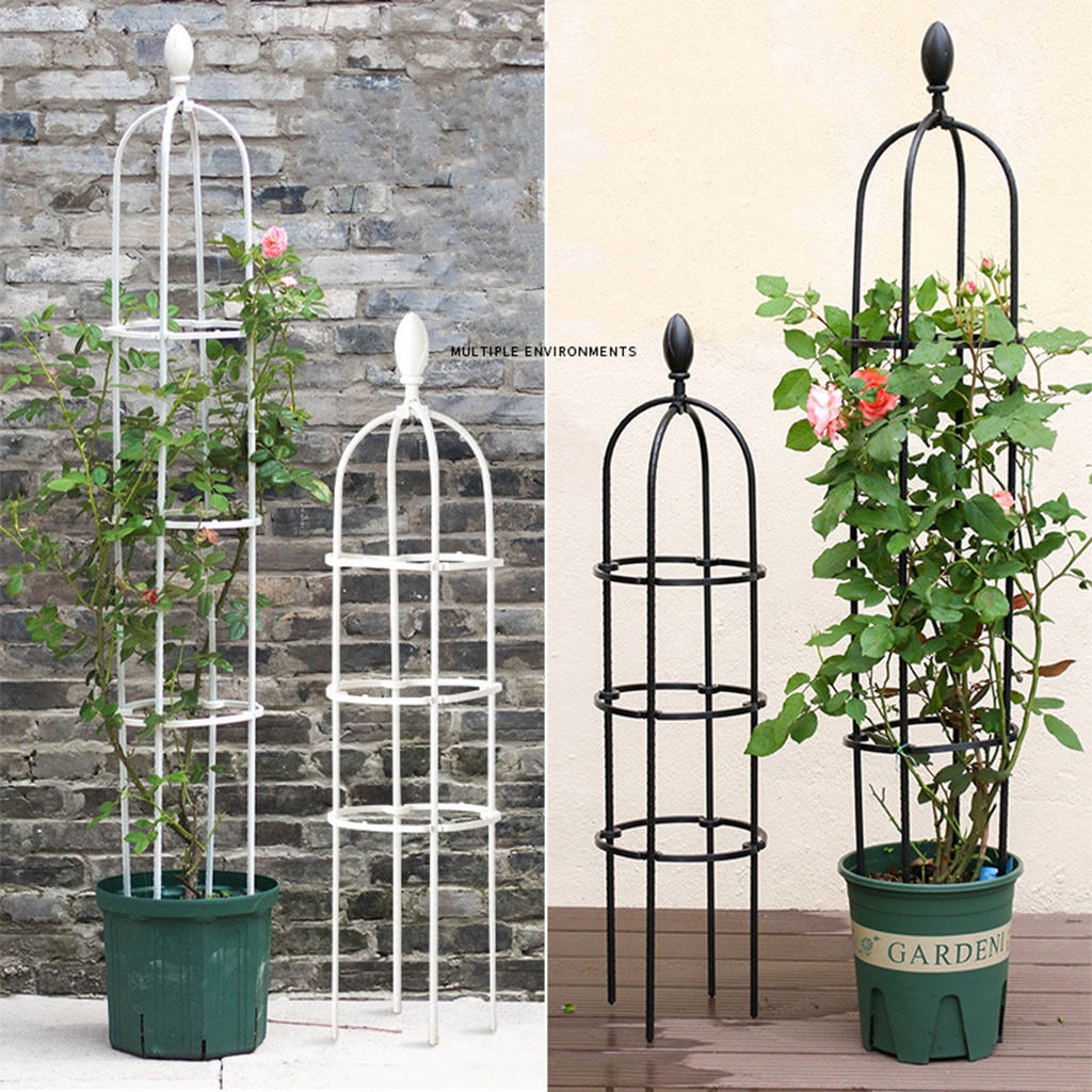 [Ready stock]Garden Plant Trellis Rose Trellis Vine Climbing Frame ...