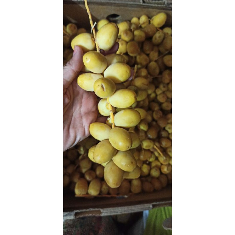 PREORDER Kurma Muda / Fresh Ruthob / Ruthob barahi | Shopee Malaysia