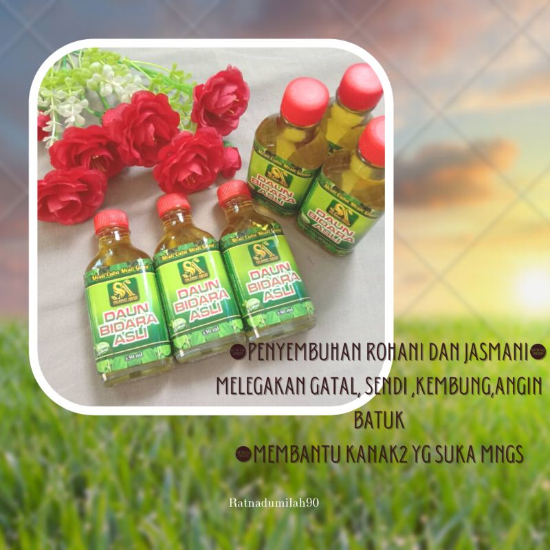 Produk Bidara Original Shopee Malaysia