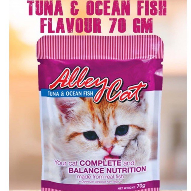 Alley cat cat outlet food reviews