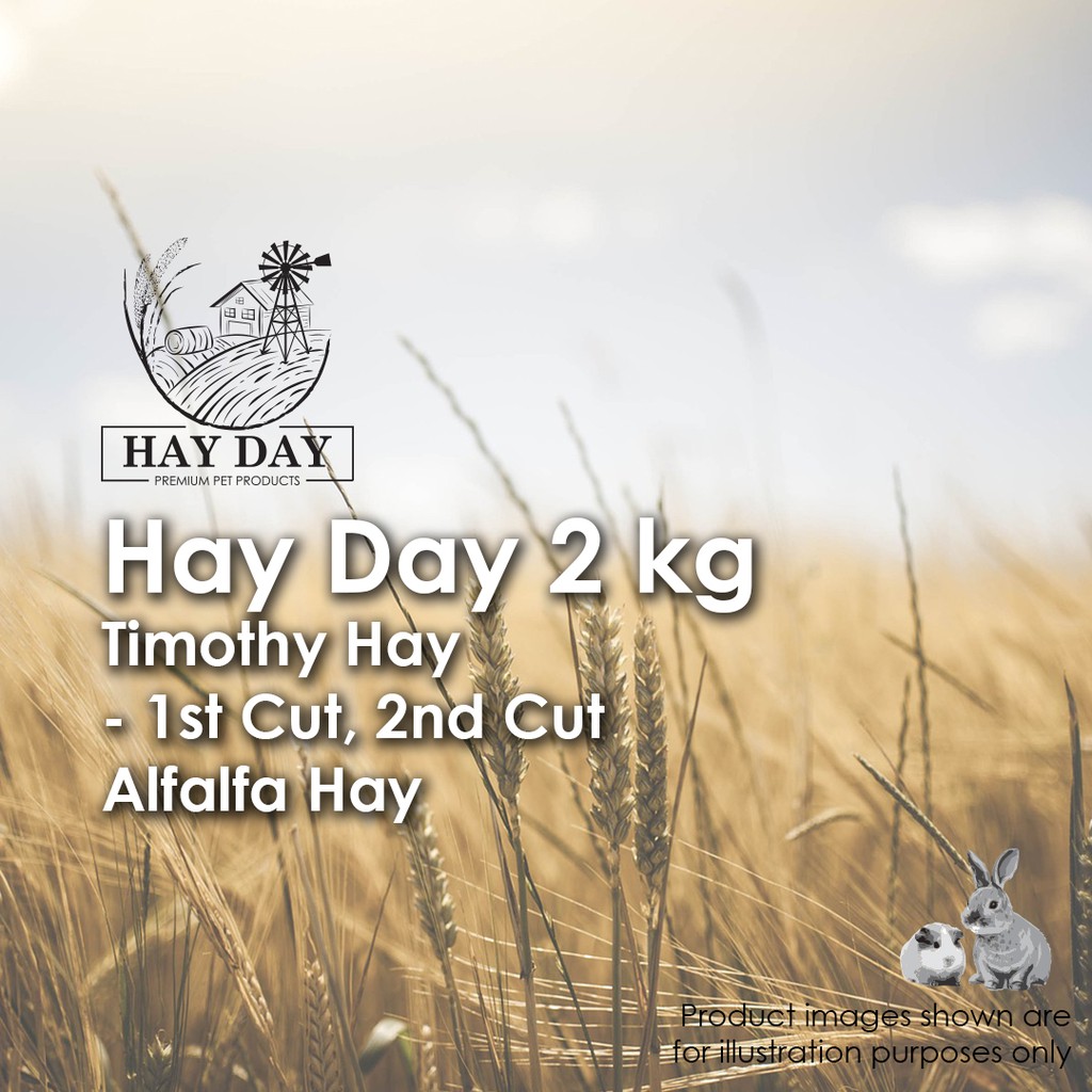 Gallery Detail: Hay Day 2Nd Cut Timothy Hay Alfalfa Hay 2 Kg