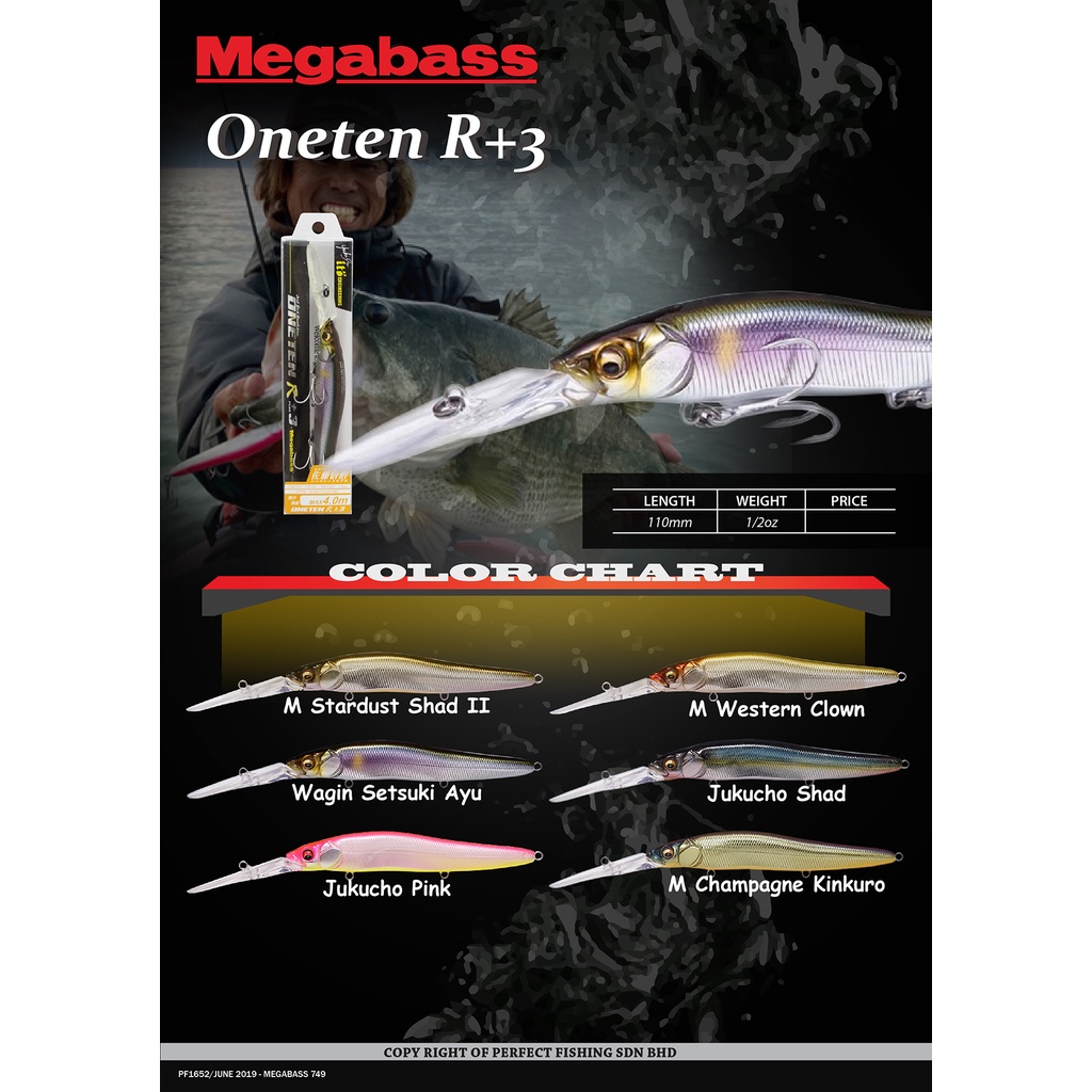 MEGABASS VISION 110 Oneten R+2 Slow Galleggiante Esca ITO Wakasagi