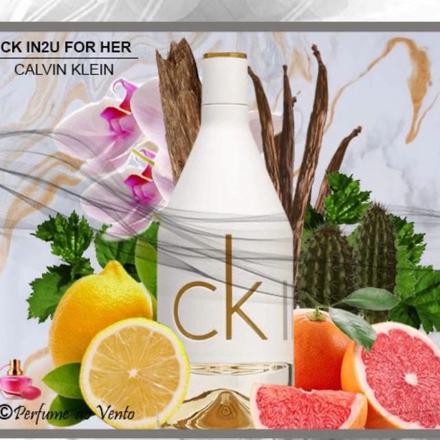Calvin Klein CK IN2U Woman Perfume EDT 100ml, Productos