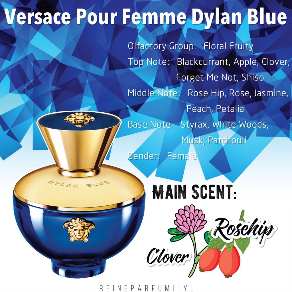 Versace dylan cheap blue femme notes