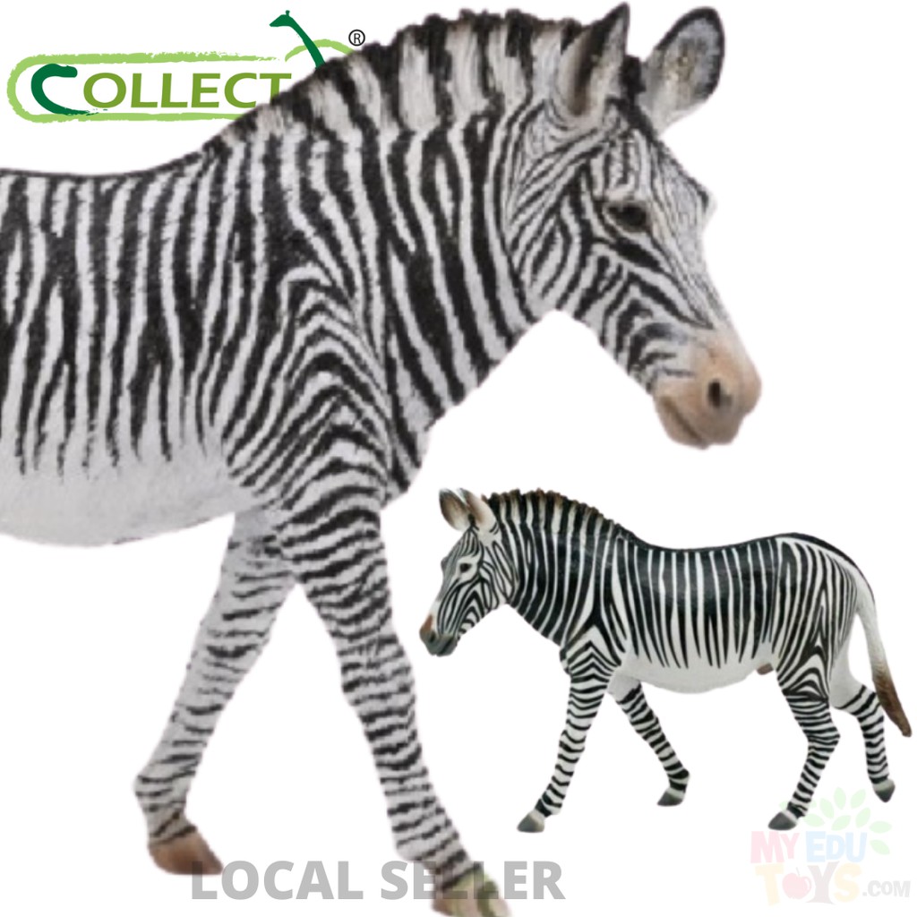 Grevy's Zebra Collecta 88773 Wild Life Animal Action Figures / Toy Figurine Collection