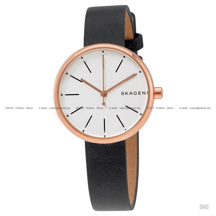 Skagen interchangeable straps 2025