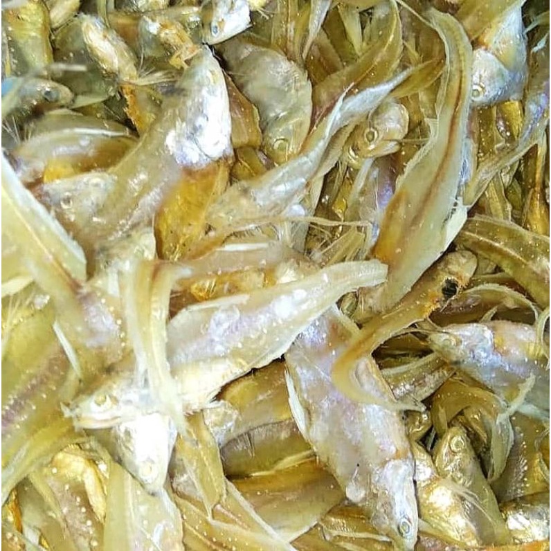 Ikan Masin Bulu Ayam (100g) | Shopee Malaysia