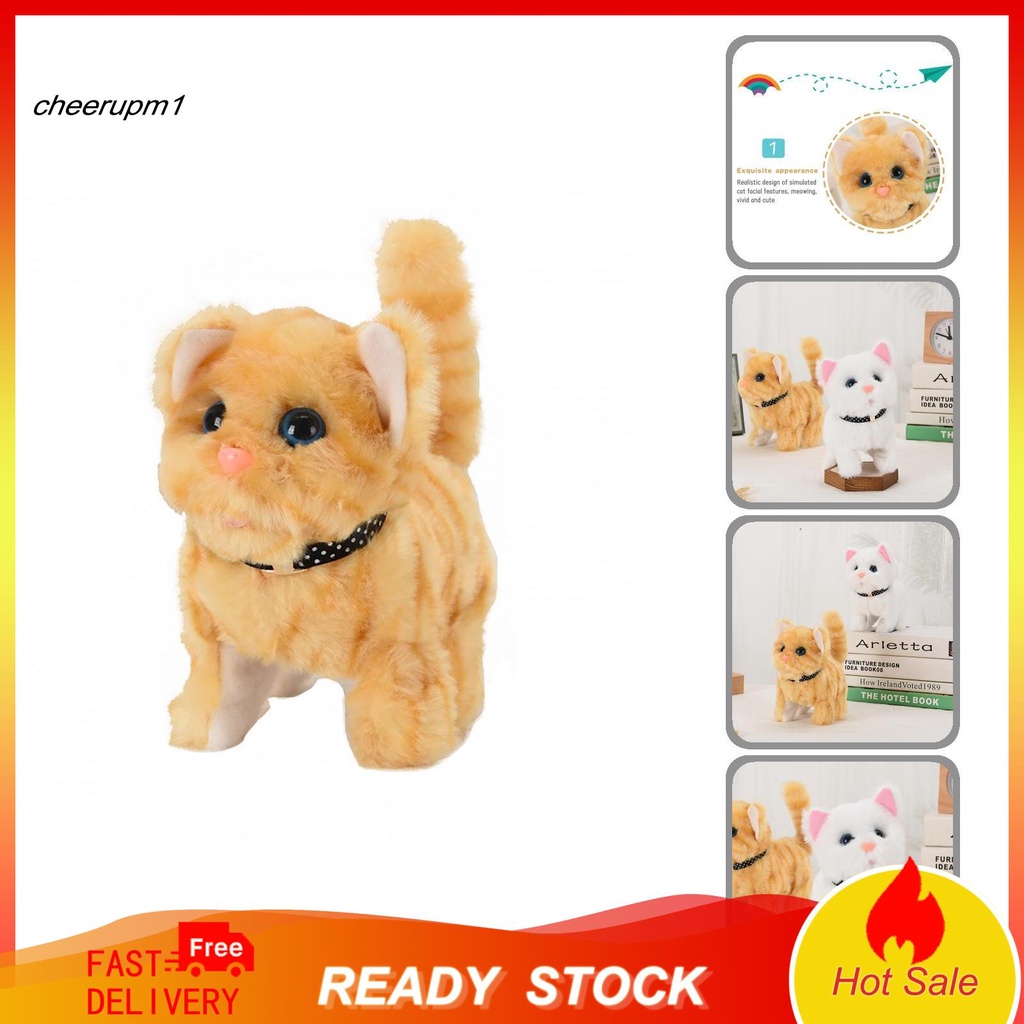 Cat toys outlet shopee