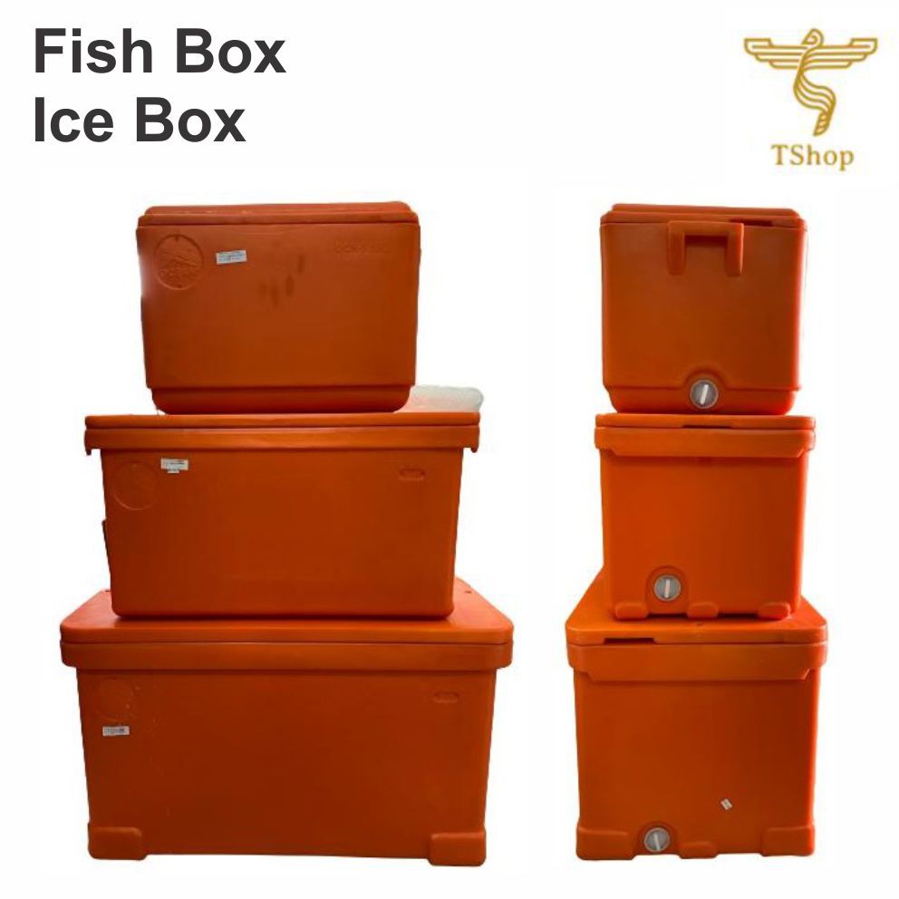 cooler fish box Lee Fisher Sports Live Bait 7.5 Quart with Mesh Basket the Flop Box 20 is built to ensure your bait stays fresh no matter the conditions. Departments - INSULATED FISH BOXES