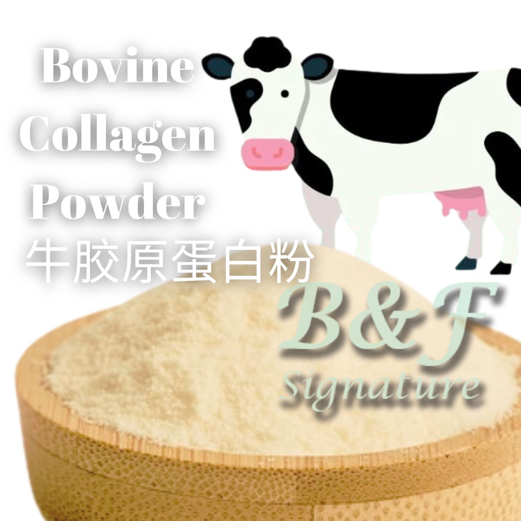 Bovine Collagen Powder 500g HARGA BORONG Serbuk Kolagen Lembu 牛胶原蛋白粉 ...